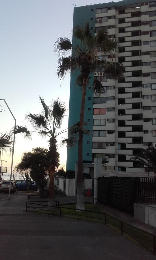 Apartamento Jardin De La Rada Otel Iquique Dış mekan fotoğraf