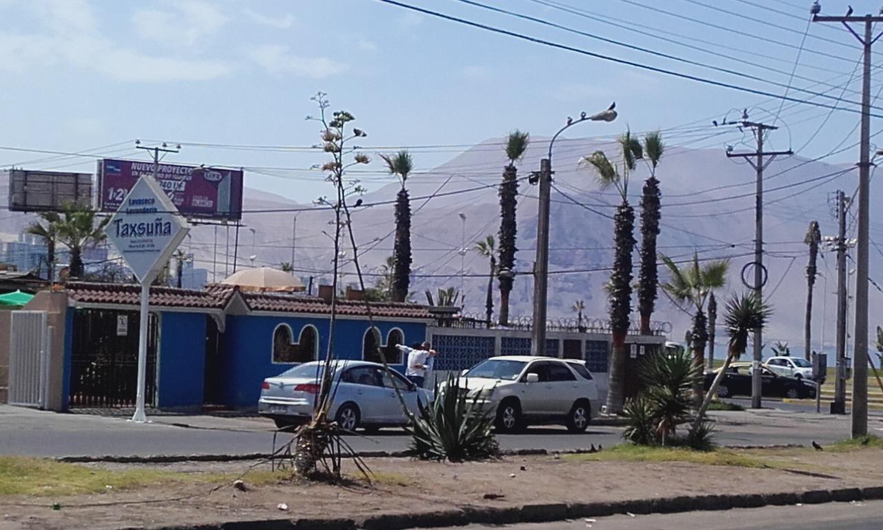 Apartamento Jardin De La Rada Otel Iquique Dış mekan fotoğraf